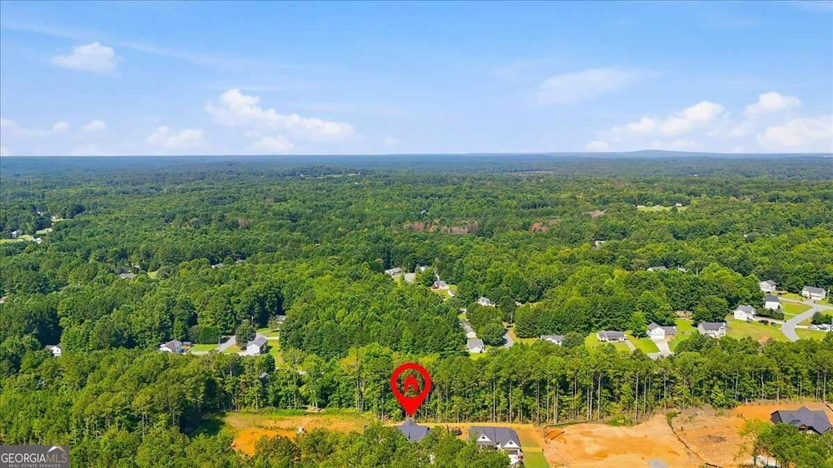 816 Presley Farm Parkway Rockmart - Photo 46