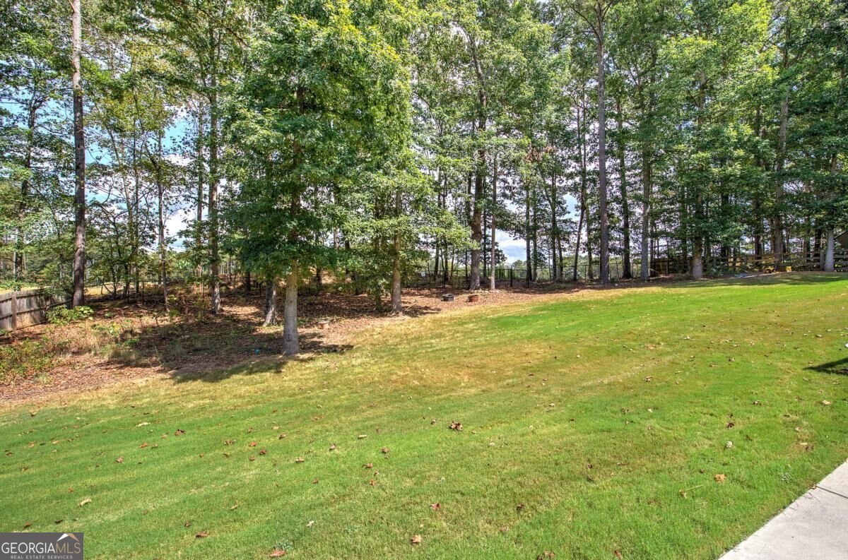 1082 Fieldstone Drive Canton - Photo 56