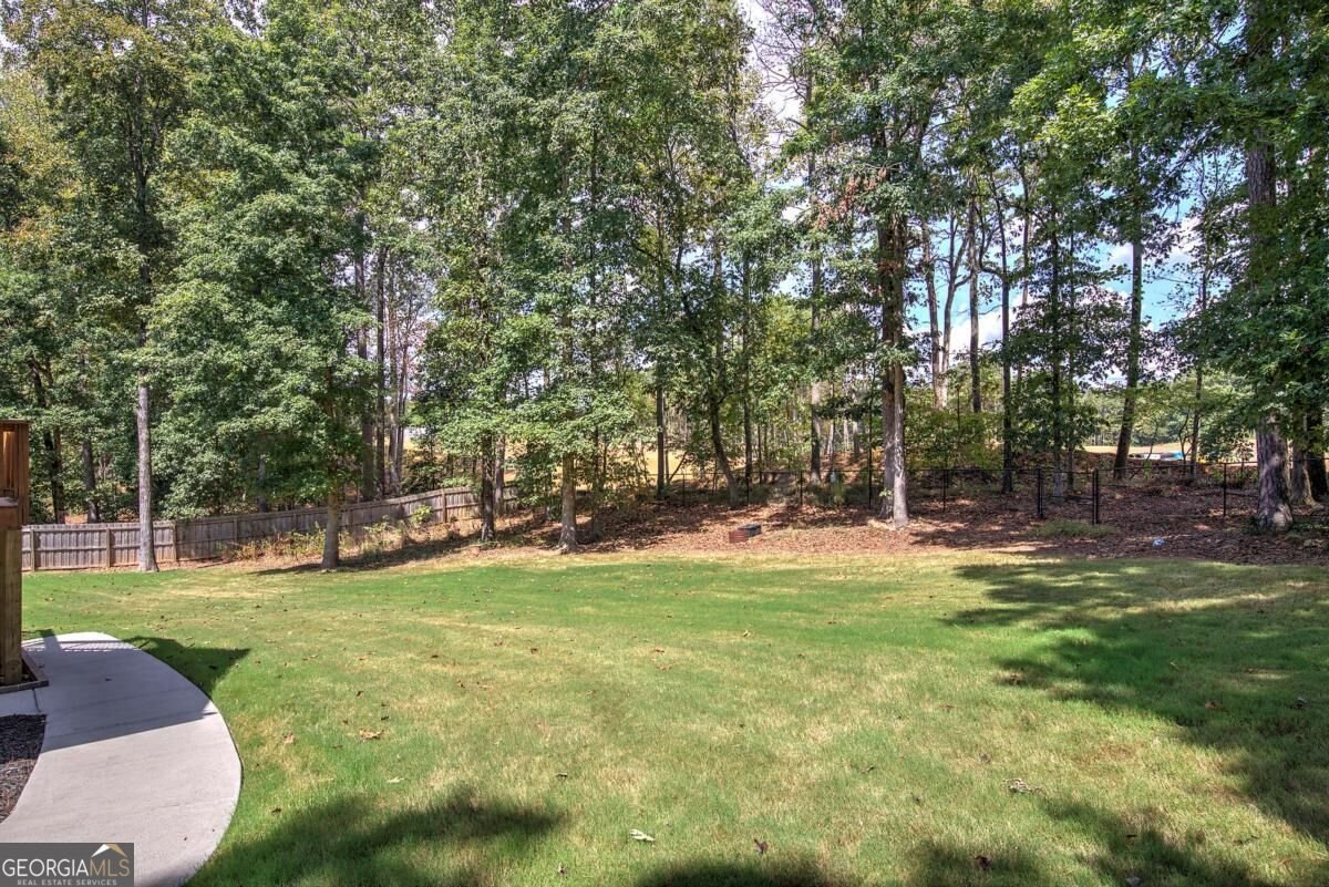 1082 Fieldstone Drive Canton - Photo 58