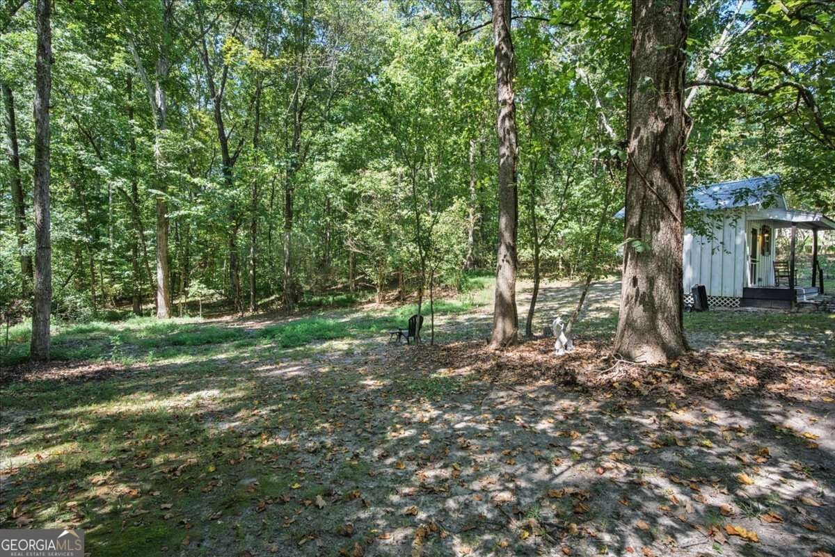 149 Holder Rd Dallas - Photo 47