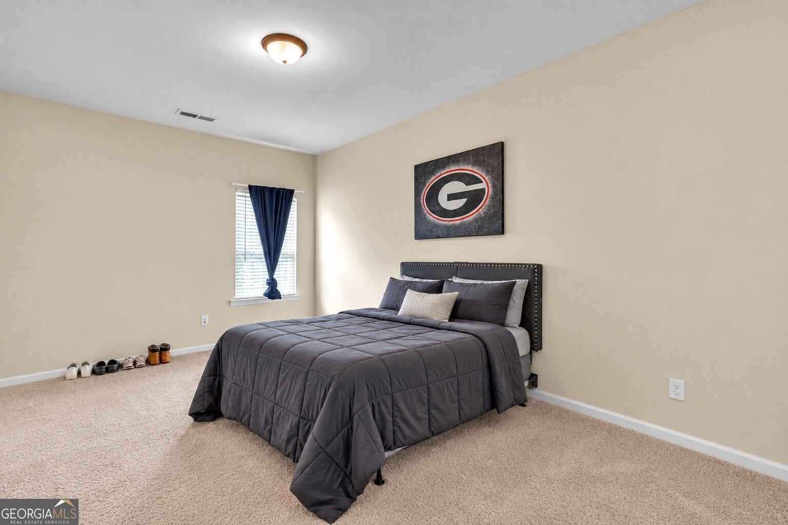 622 Mallard Cove Loganville - Photo 14