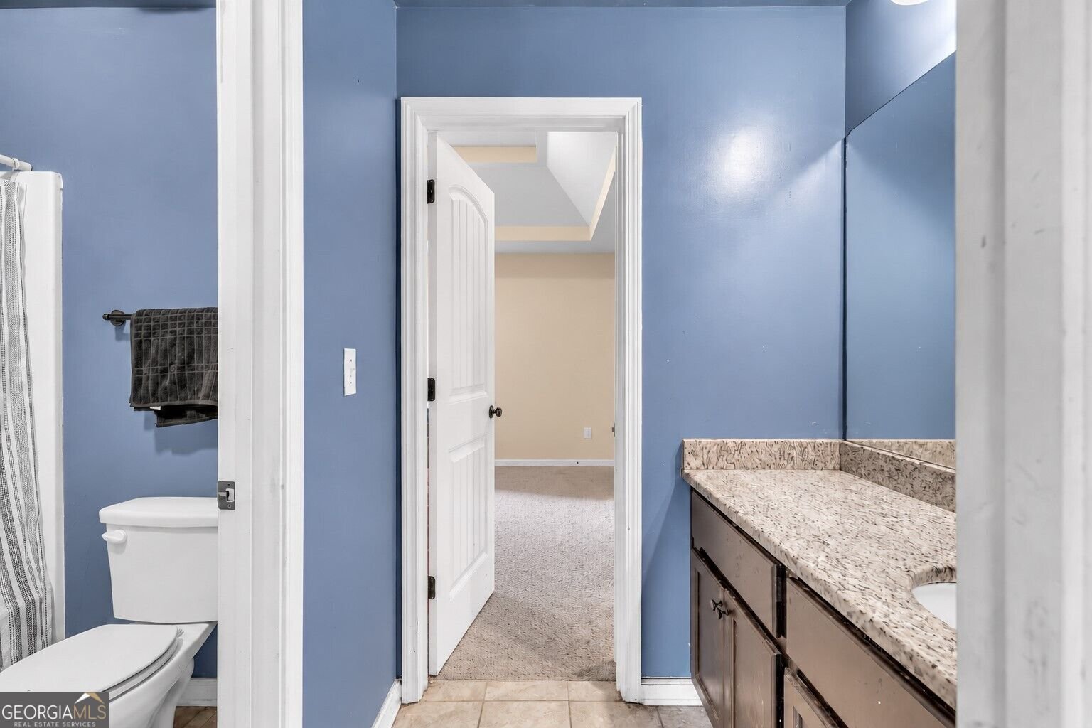 622 Mallard Cove Loganville - Photo 28