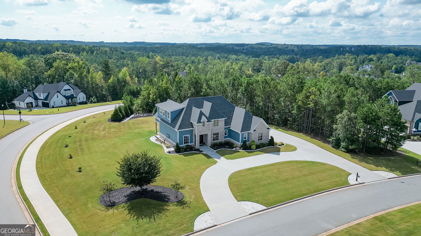 61 Forest Berry Court Newnan - Photo 59
