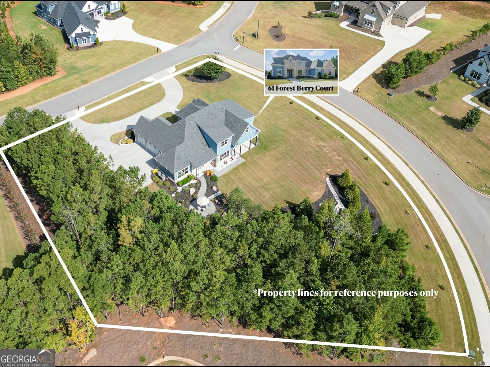 61 Forest Berry Court Newnan - Photo 61