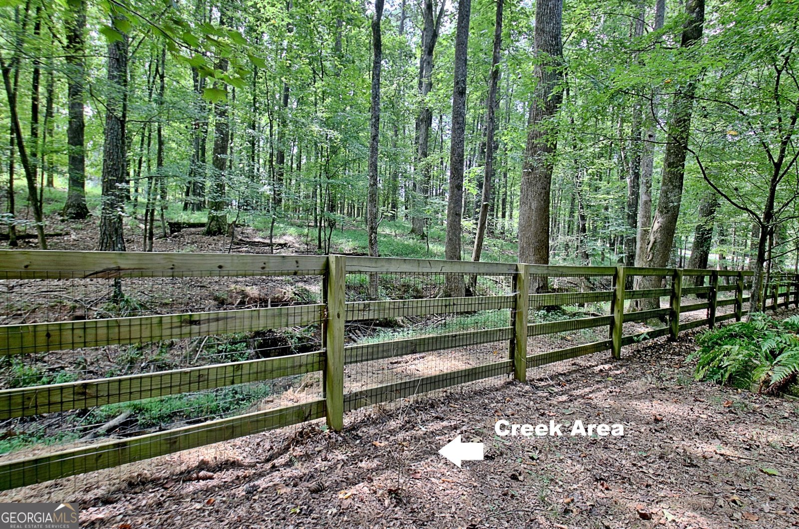 255 Inverness Shores Drive Fayetteville - Photo 119