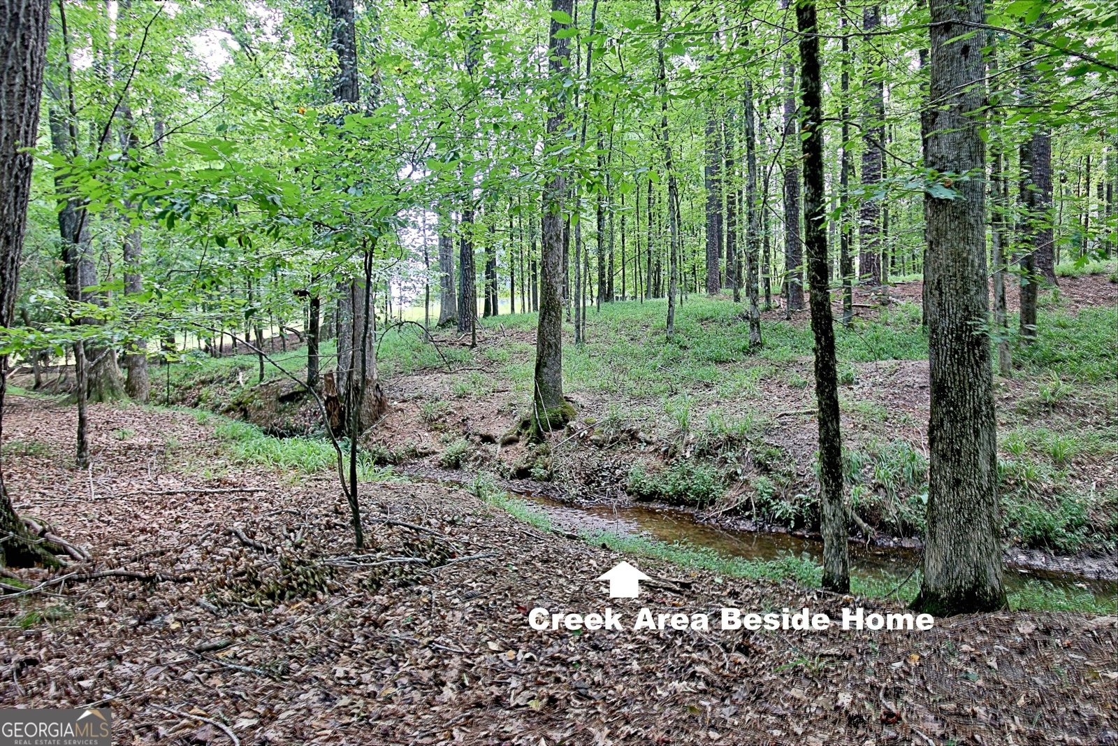 255 Inverness Shores Drive Fayetteville - Photo 120