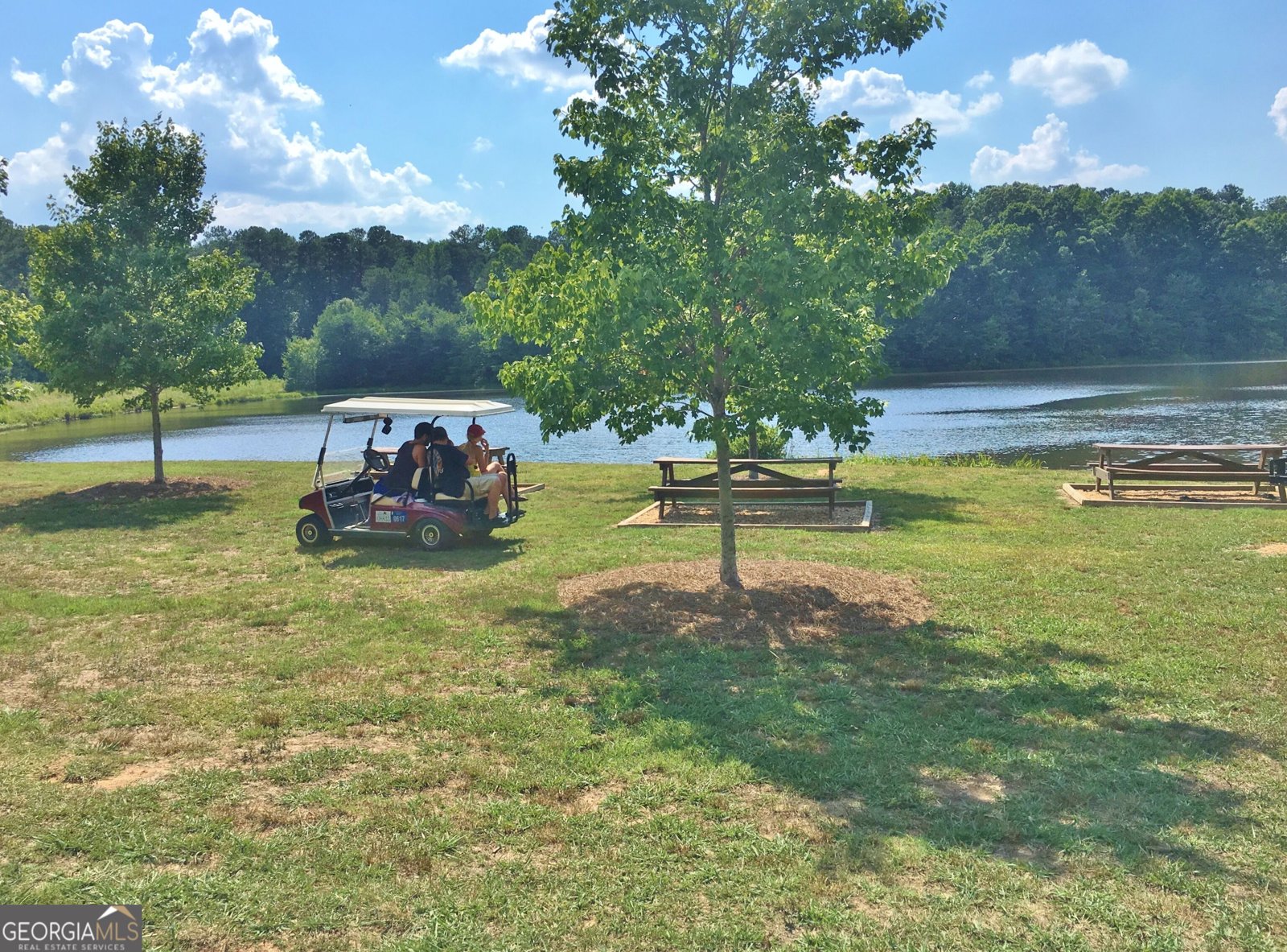 255 Inverness Shores Drive Fayetteville - Photo 124