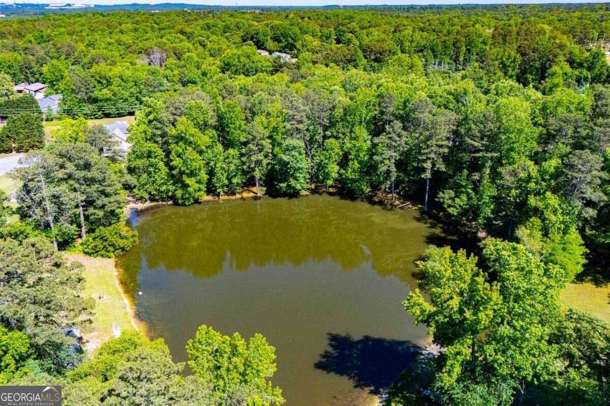 1294 Windsor Glen Drive Douglasville - Photo 29