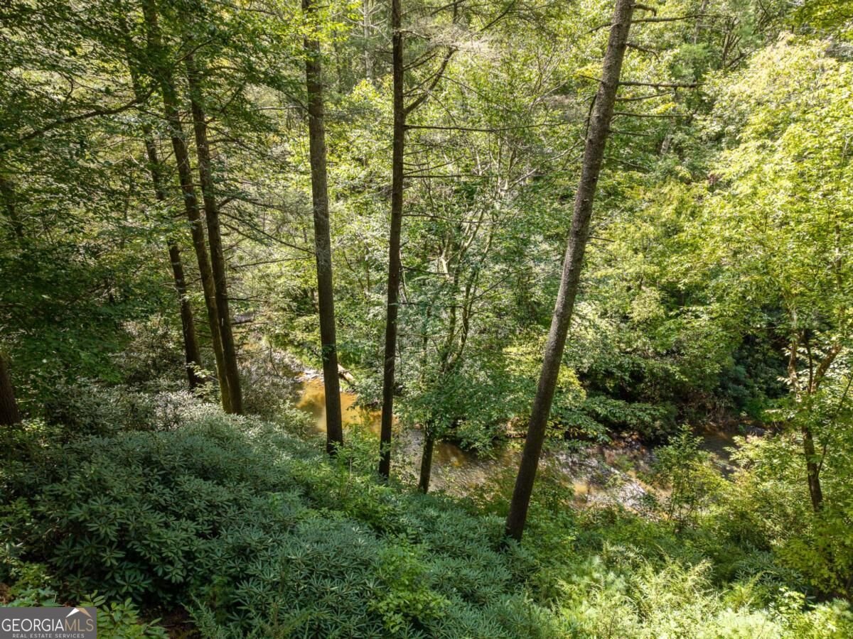 488 Whispering Pine Lane Cherry Log - Photo 15
