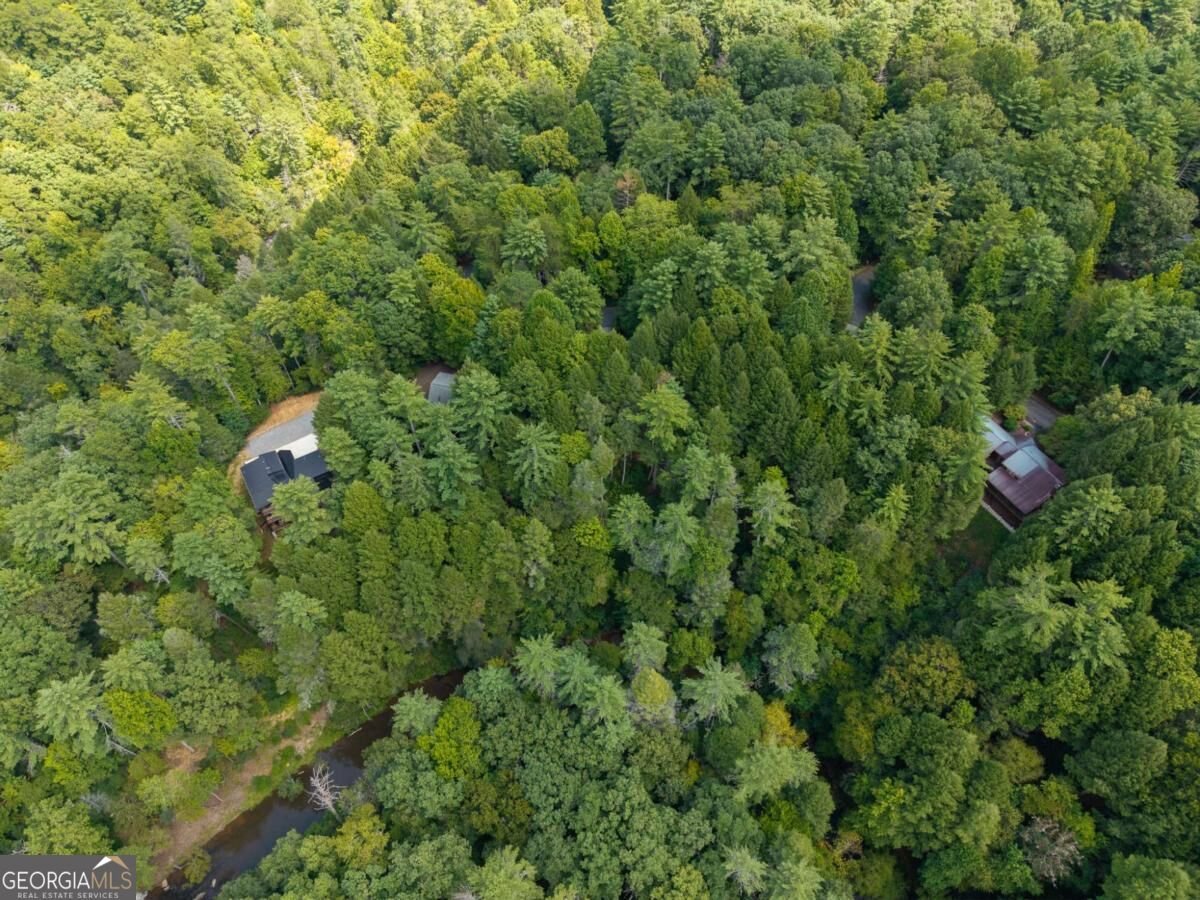 488 Whispering Pine Lane Cherry Log - Photo 53