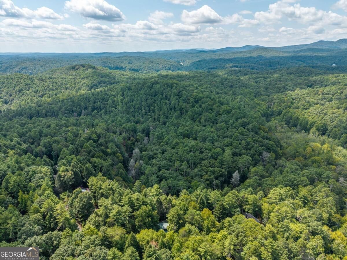 488 Whispering Pine Lane Cherry Log - Photo 54