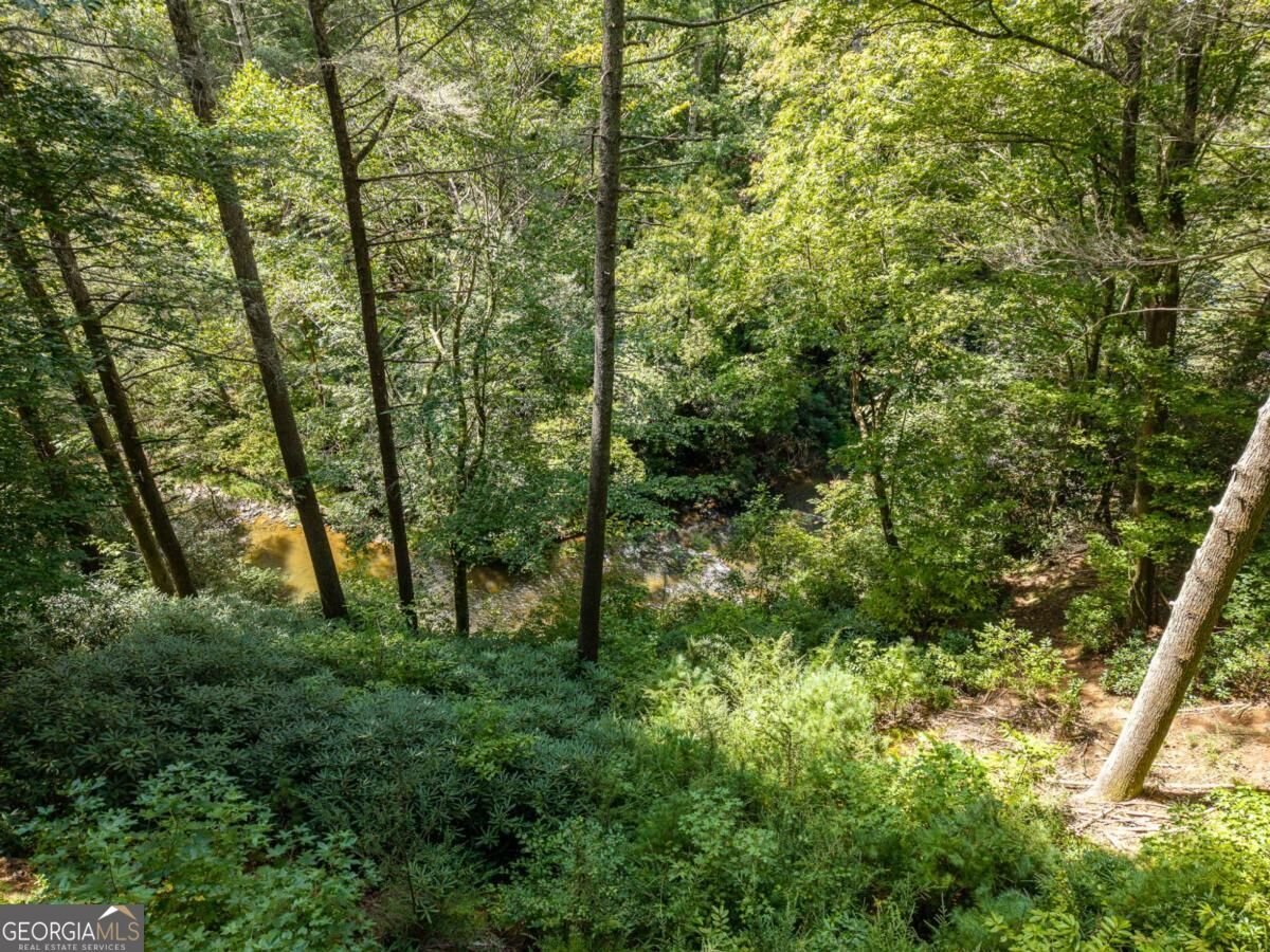 488 Whispering Pine Lane Cherry Log - Photo 56
