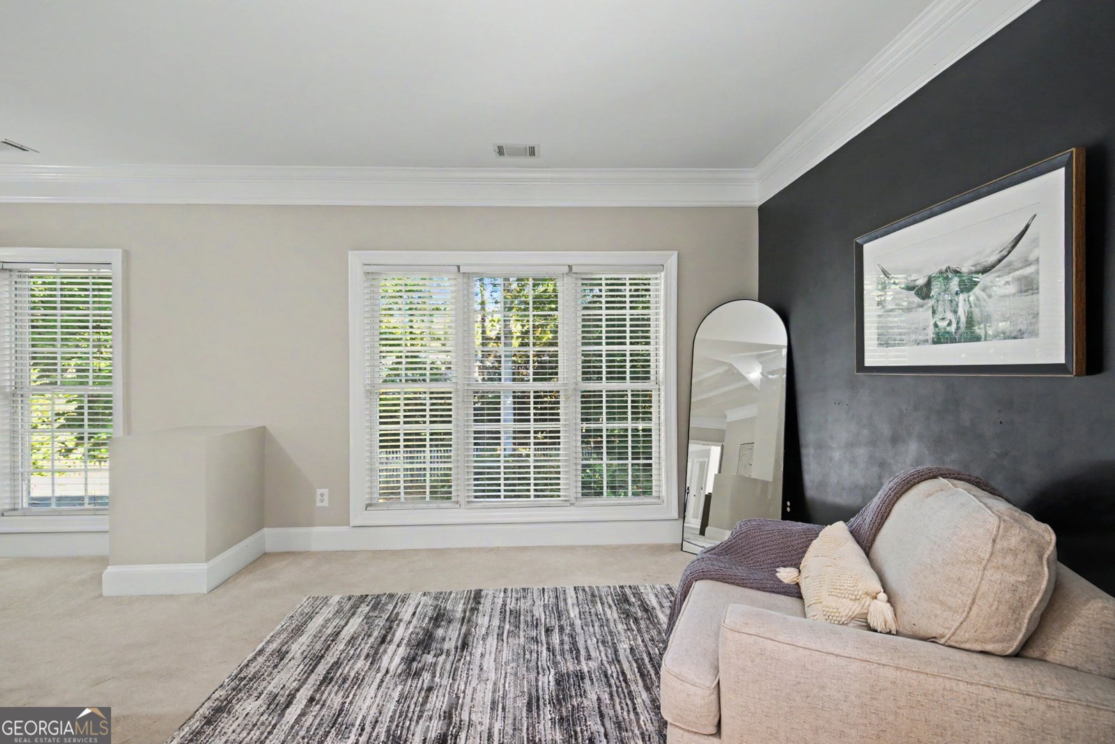 160 Torrey Pines Court Newnan - Photo 26