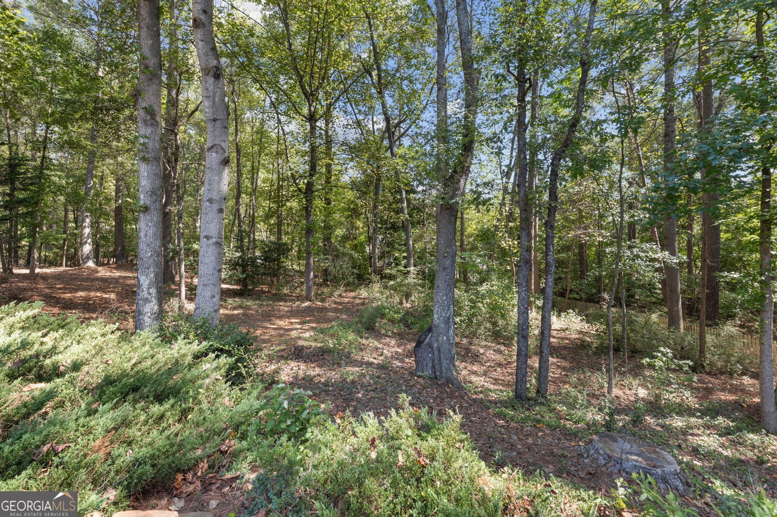 4209 Mill Grove Lane Smyrna - Photo 35