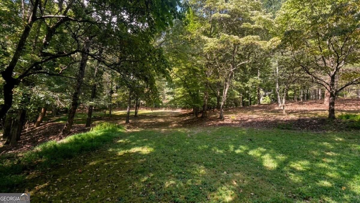 15895 Henderson Road Milton - Photo 18