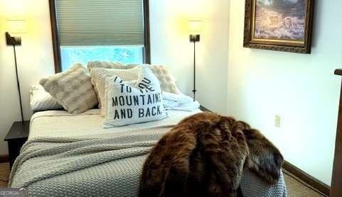 19 Aerie Lane Sky Valley - Photo 20