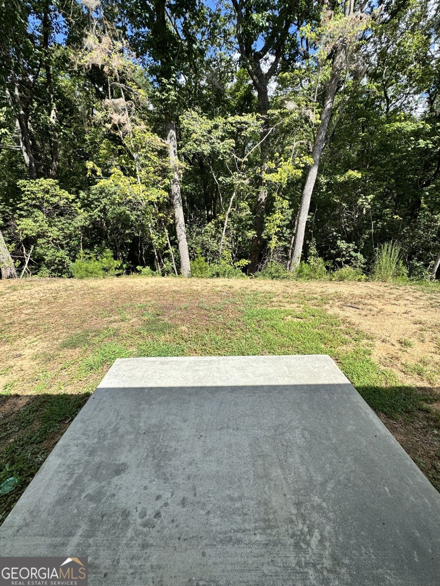 3790 Highway 52 Dahlonega - Photo 19