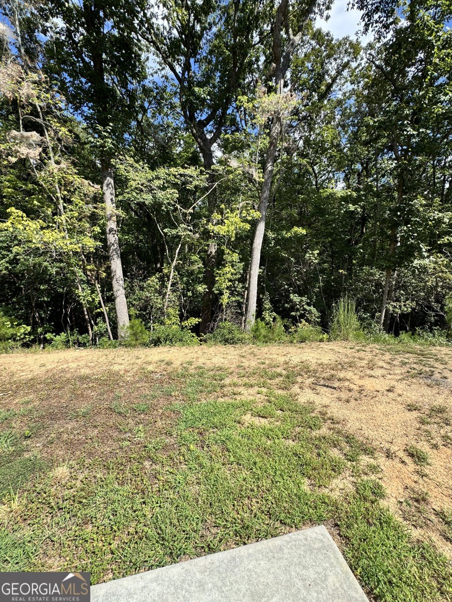 3790 Highway 52 Dahlonega - Photo 21