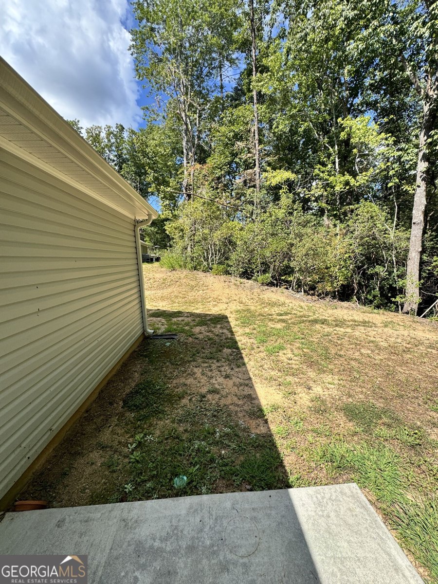 3790 Highway 52 Dahlonega - Photo 22