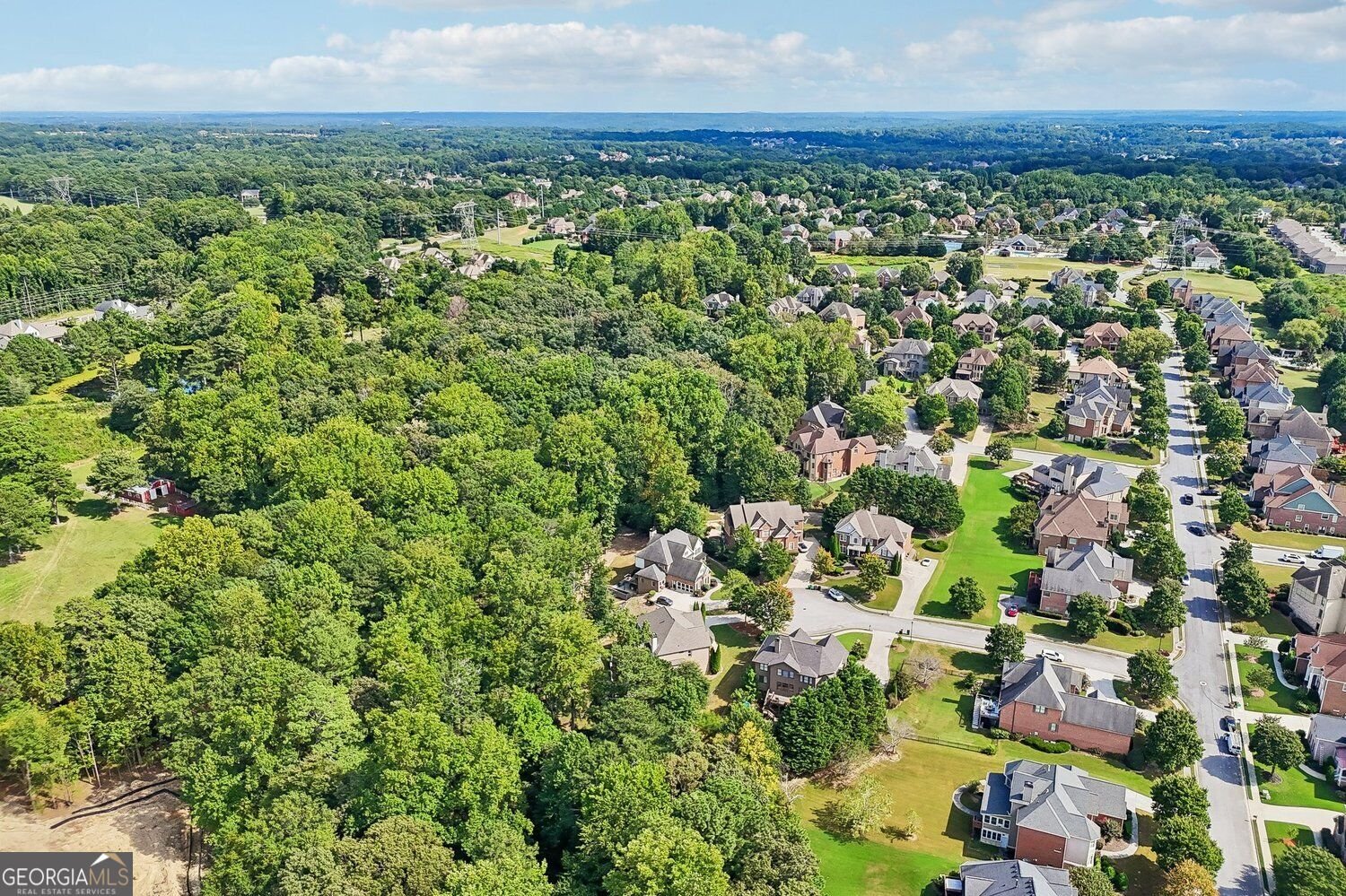 2664 Black Fox Way Buford - Photo 111