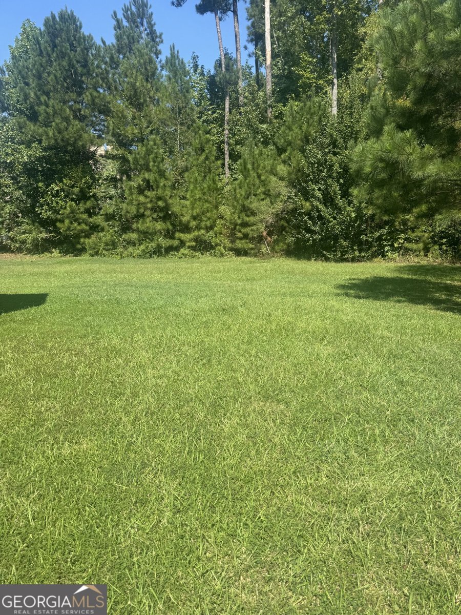 4880 China Berry Drive Powder Springs - Photo 15