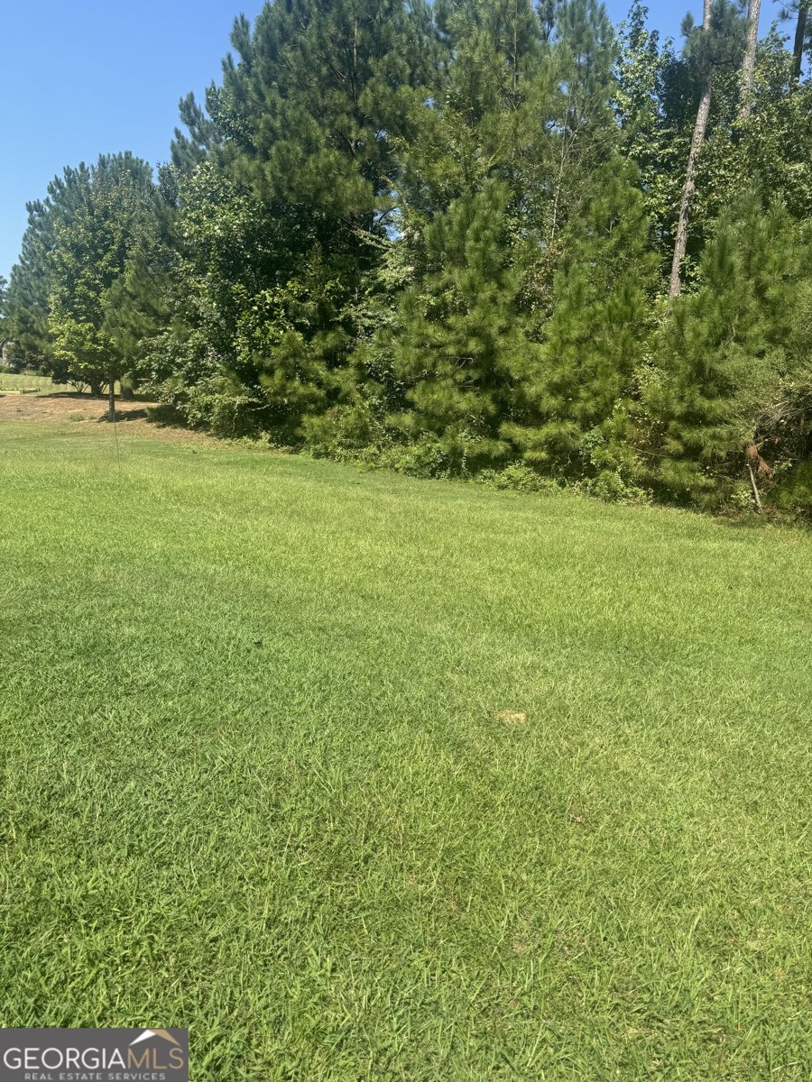 4880 China Berry Drive Powder Springs - Photo 16