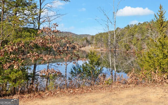 990 Hickory Nut Mountain Tallulah Falls - Photo 49