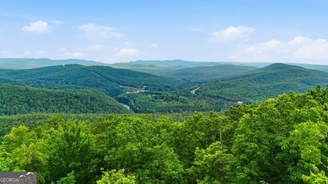990 Hickory Nut Mountain Tallulah Falls - Photo 6