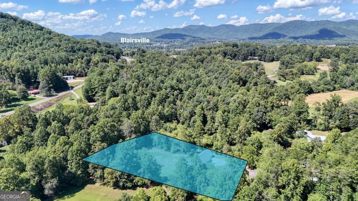590 Pinebrook Drive Blairsville - Photo 14