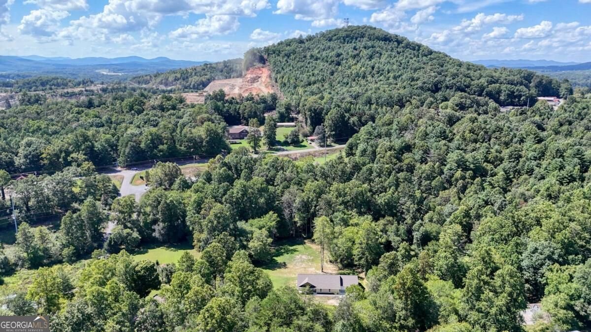 590 Pinebrook Drive Blairsville - Photo 18