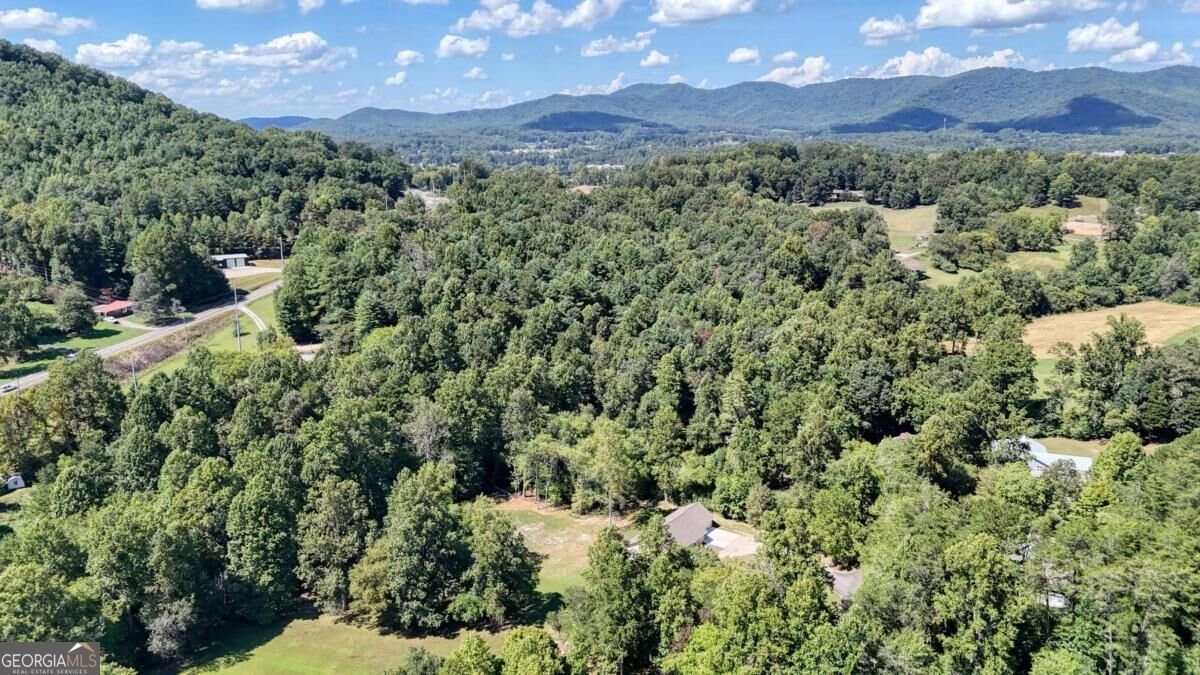 590 Pinebrook Drive Blairsville - Photo 38