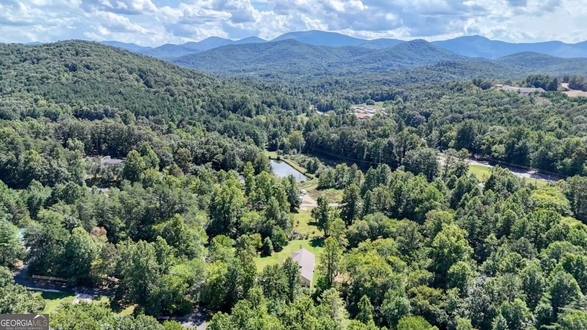 590 Pinebrook Drive Blairsville - Photo 41