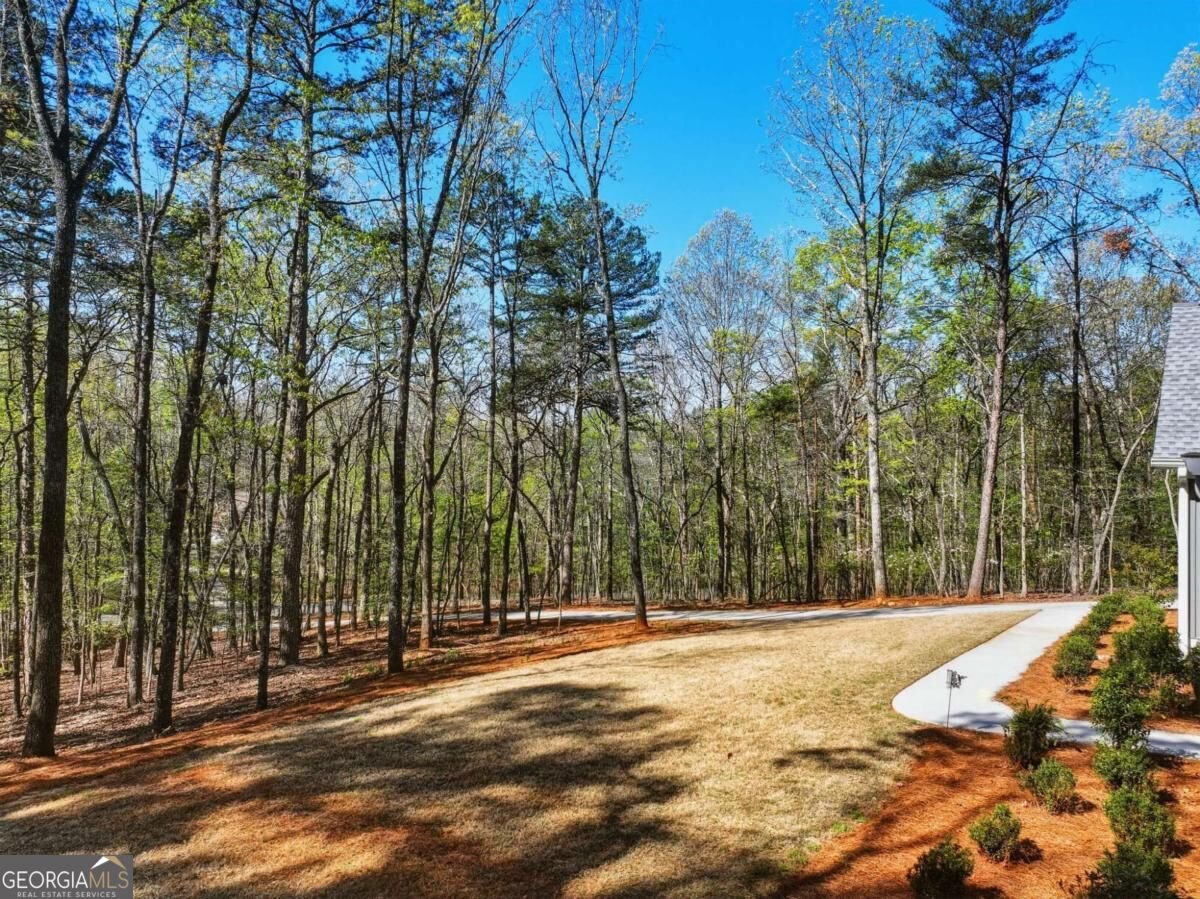 320 Fern Park Drive Dawsonville - Photo 50