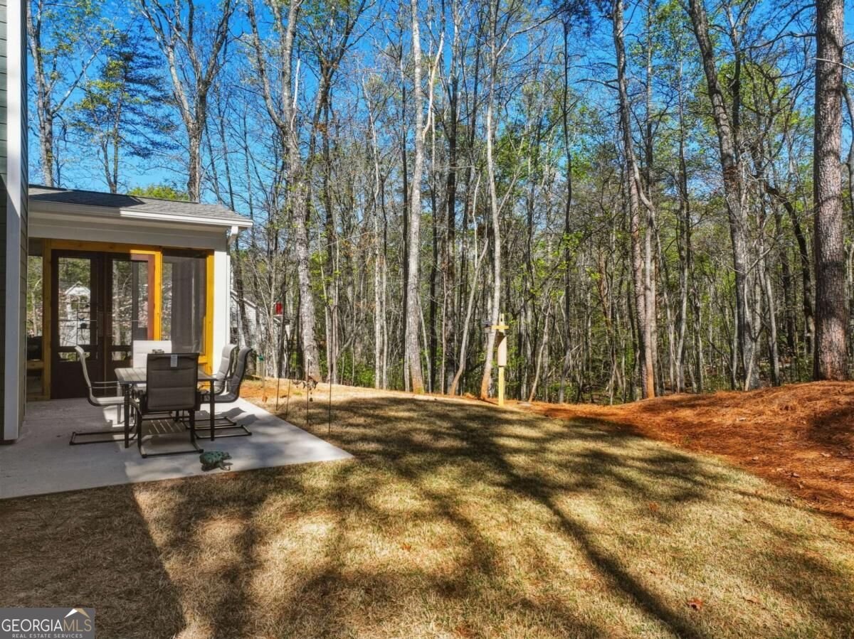 320 Fern Park Drive Dawsonville - Photo 51