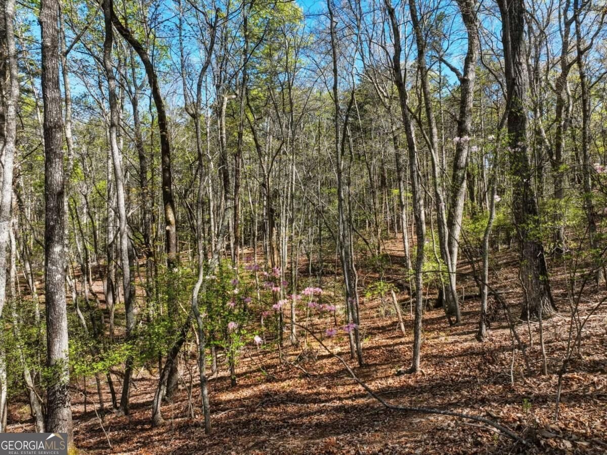 320 Fern Park Drive Dawsonville - Photo 53