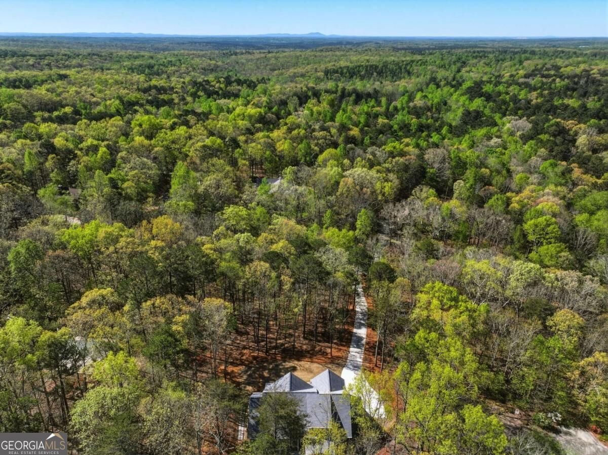 320 Fern Park Drive Dawsonville - Photo 54
