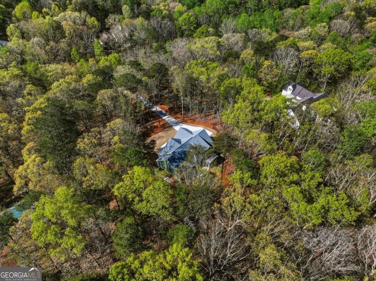 320 Fern Park Drive Dawsonville - Photo 55