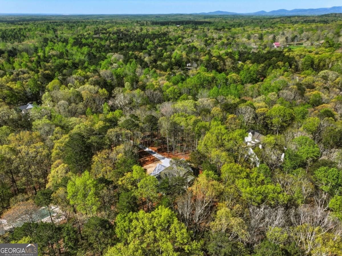 320 Fern Park Drive Dawsonville - Photo 56