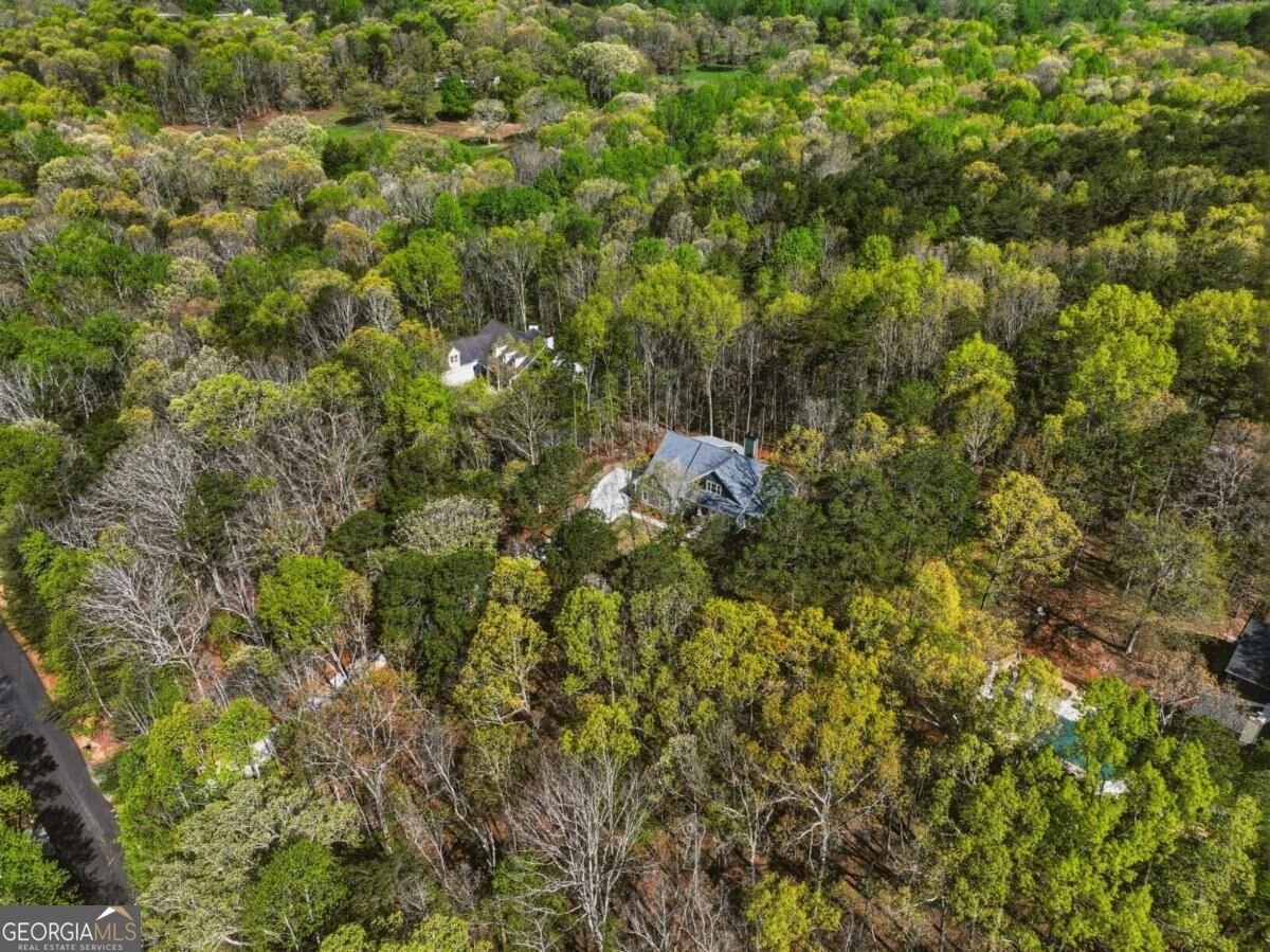 320 Fern Park Drive Dawsonville - Photo 57