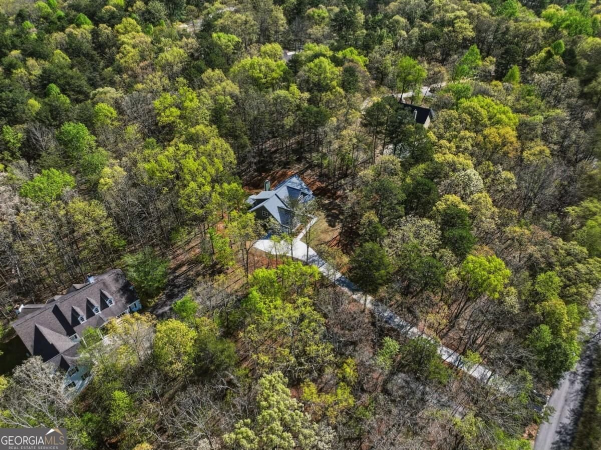320 Fern Park Drive Dawsonville - Photo 58