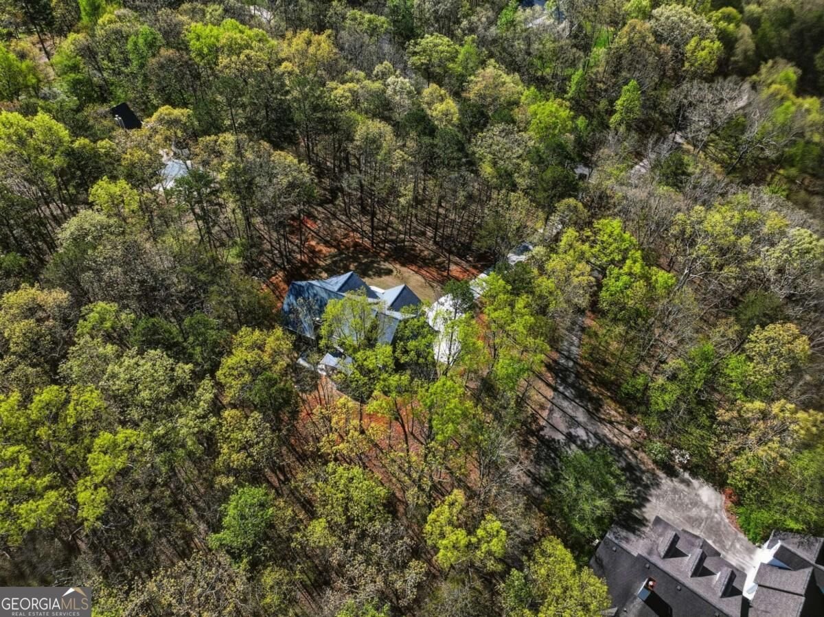 320 Fern Park Drive Dawsonville - Photo 59