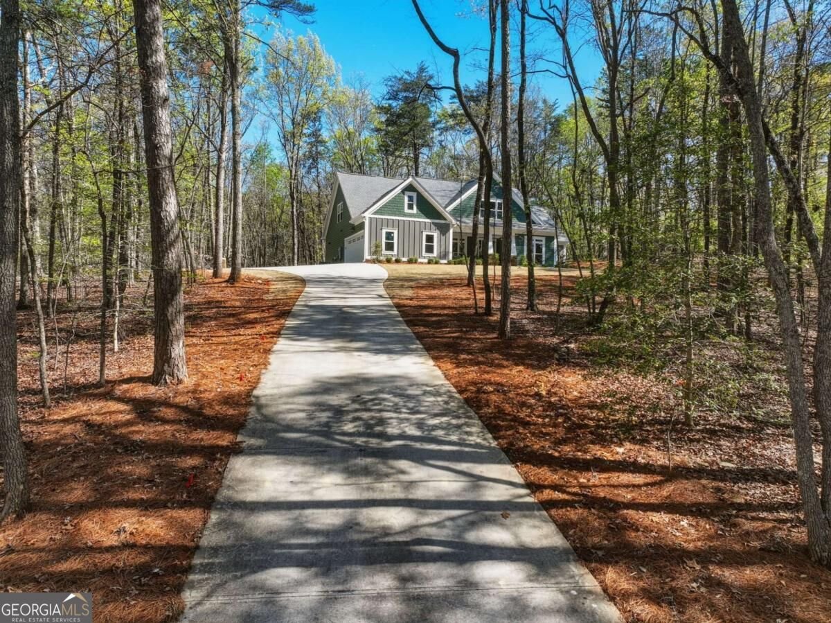 320 Fern Park Drive Dawsonville - Photo 6
