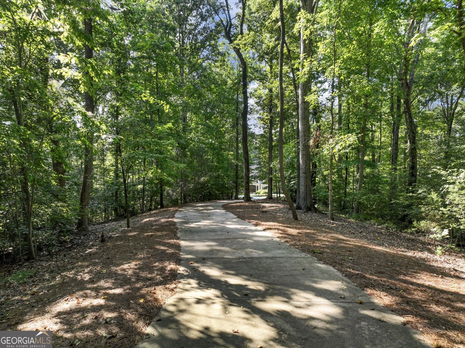 55 Summitrail Lane Dawsonville - Photo 157