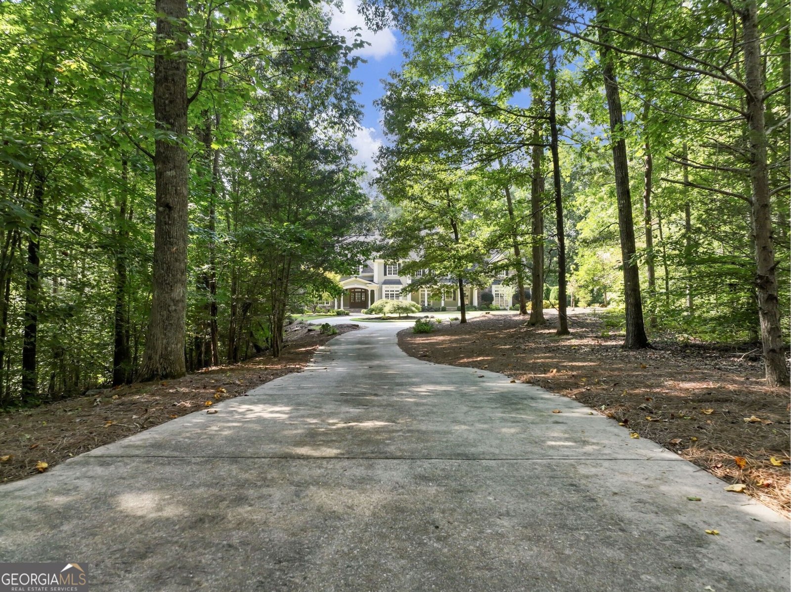 55 Summitrail Lane Dawsonville - Photo 159