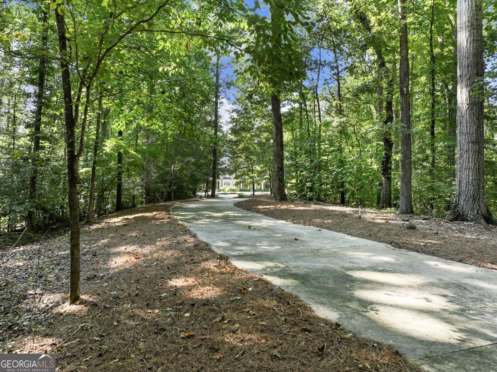55 Summitrail Lane Dawsonville - Photo 160