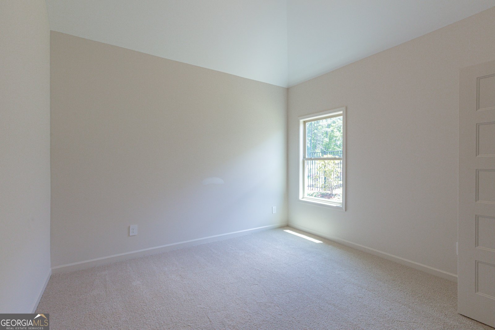 308 Hammerstone Court Senoia - Photo 19