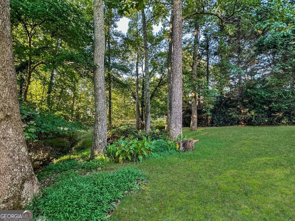 1262 Channel Park Marietta - Photo 36