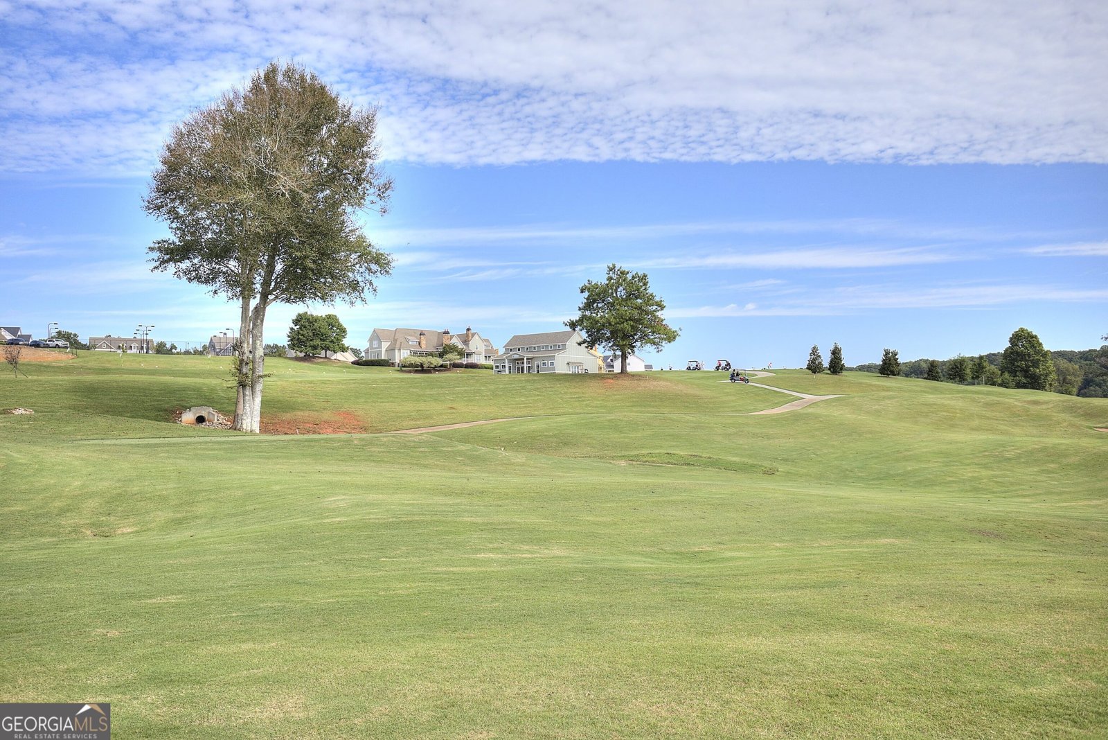 166 Classic Overlook Homer - Photo 30