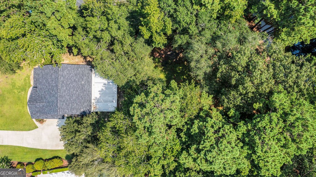 210 Brown Thrush Road Savannah - Photo 51