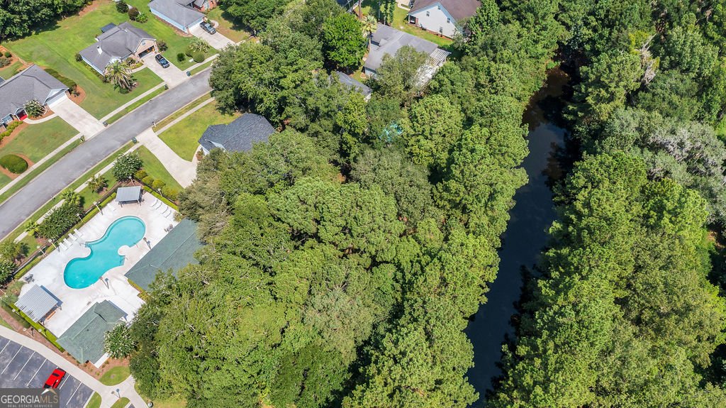 210 Brown Thrush Road Savannah - Photo 53